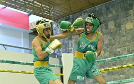 DEFINIDAS 38 FINALES DEL TORNEO NACIONAL VERDE Y ORO DEL WBC AMATEUR