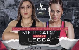 YAMILETH MERCADO VS. LINDA LAURA LECCA, GARANTÍA DE ESPECTÁCULO
