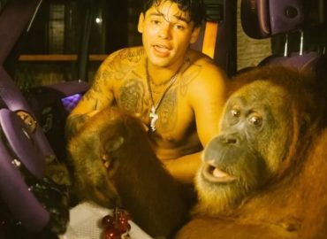LA COLUMNA DE NINO LAMOTTA…