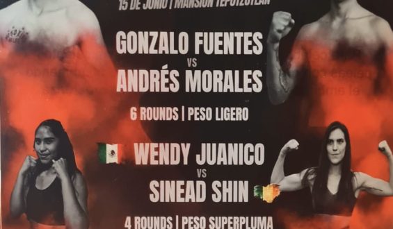 BOX EN LA MASIÓN