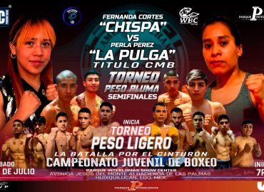 NOCHES DE BOX EN TEATRO DEL PARQUE INTERLOMAS