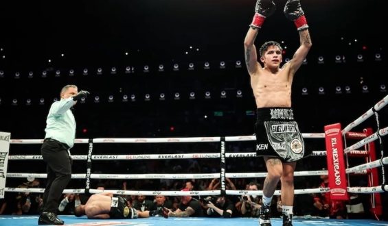 LA COLUMNA DE NINO LAMOTTA…