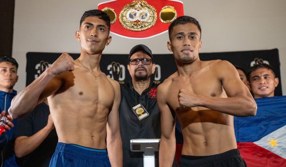 “CAMALEÓN” AYALA, LISTO PARA ENCARAR A DAVE APOLINARIO POR CINTO MUNDIAL MOSCA IBF
