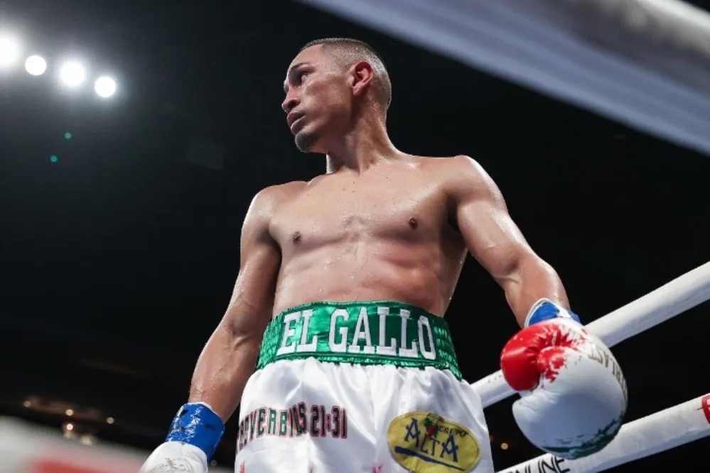 LA COLUMNA DE NINO LAMOTTA…