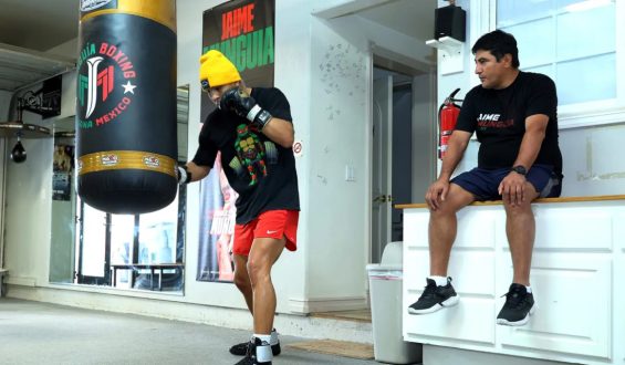 LA COLUMNA DE NINO LAMOTTA…