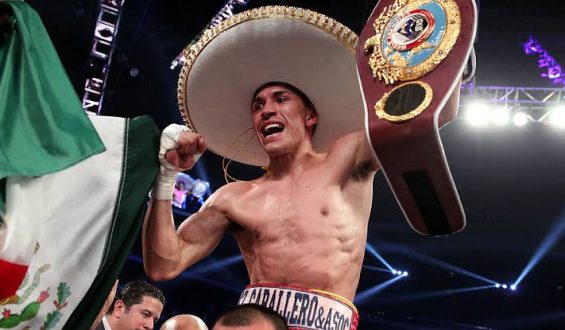 “GALLO” ESTRADA RENUNCIÓ A LA REVANCHA CON “BAM” RODRÍGUEZ, SUBIRÁ A PESO GALLO