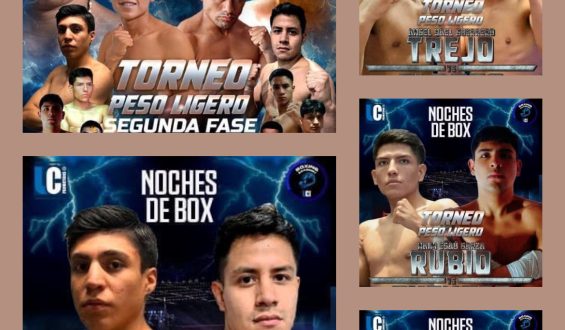COMBATES DE ALTO PODER