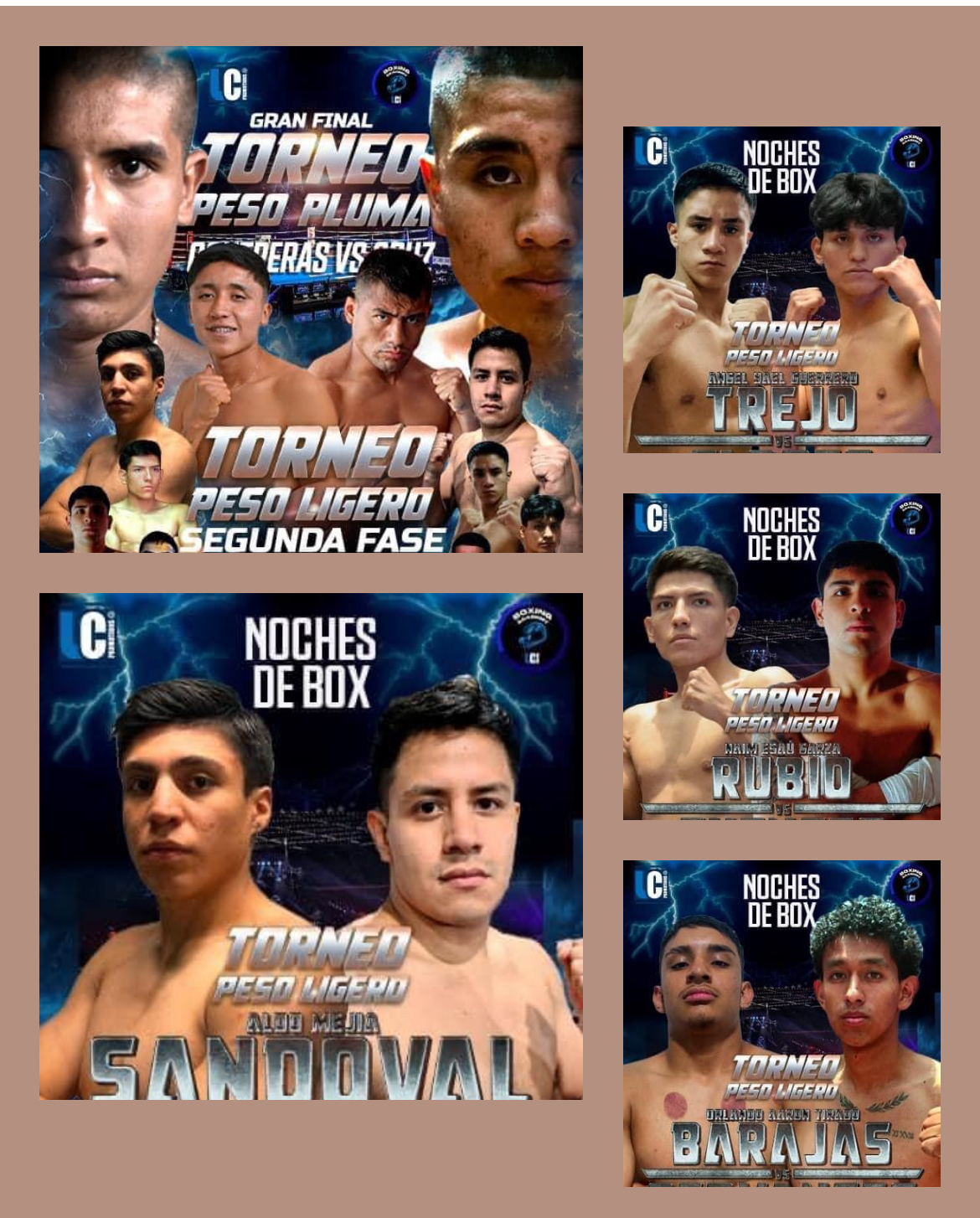 COMBATES DE ALTO PODER