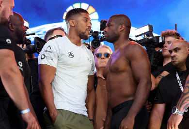 ANTHONY JOSHUA Y DANIEL DUBOIS, EN EXCELENTES CONDICIONES