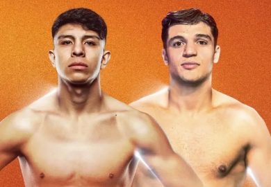 LA COLUMNA DE NINO LAMOTTA…