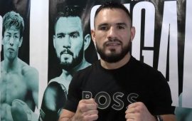 LA COLUMNA DE NINO LAMOTTA…