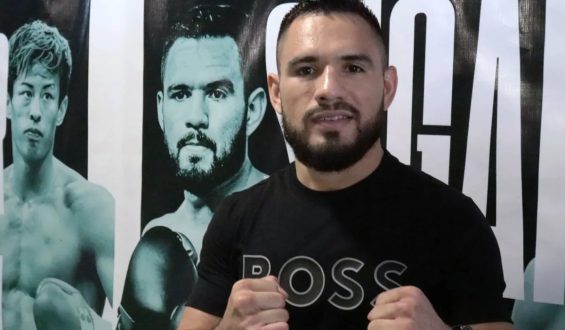 LA COLUMNA DE NINO LAMOTTA…