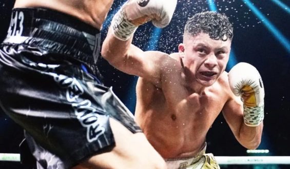 LA COLUMNA DE NINO LAMOTTA…